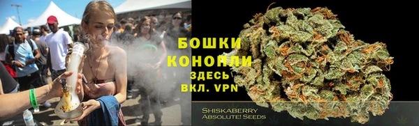ALPHA PVP Богданович