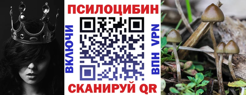 цена   Динская  Галлюциногенные грибы Magic Shrooms 